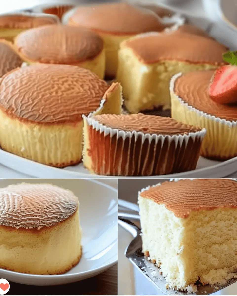 CASTELLA SPONGES CAKE